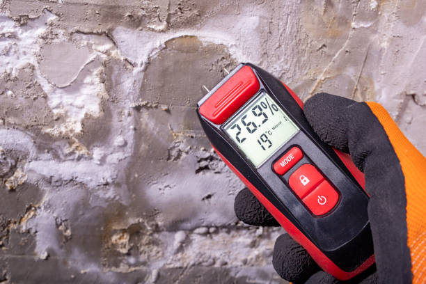 Best Commercial Mold Removal  in Nicholson, GA