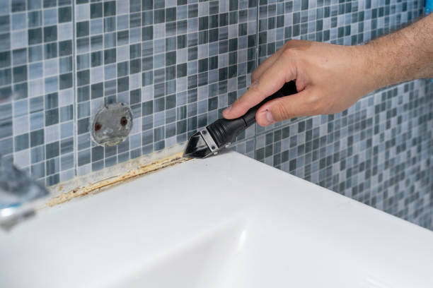 Professional Mold Removal in Nicholson, GA